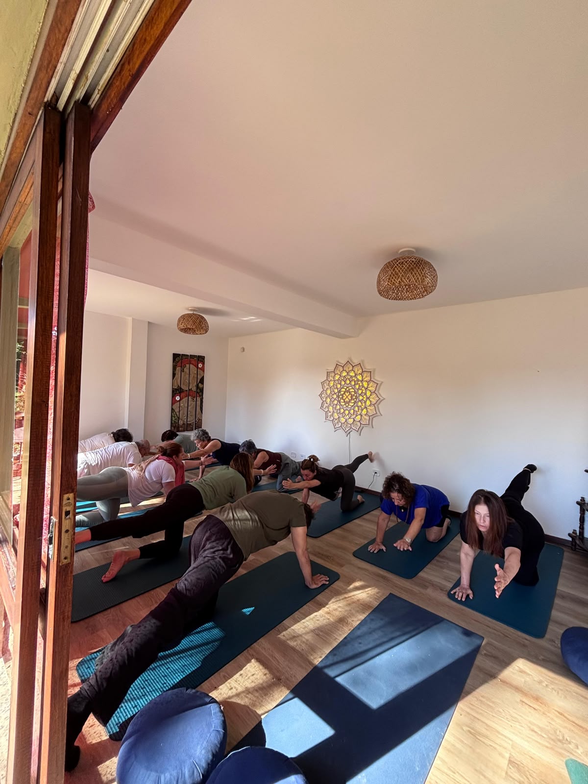 Prática de yoga com alunos em tapetes